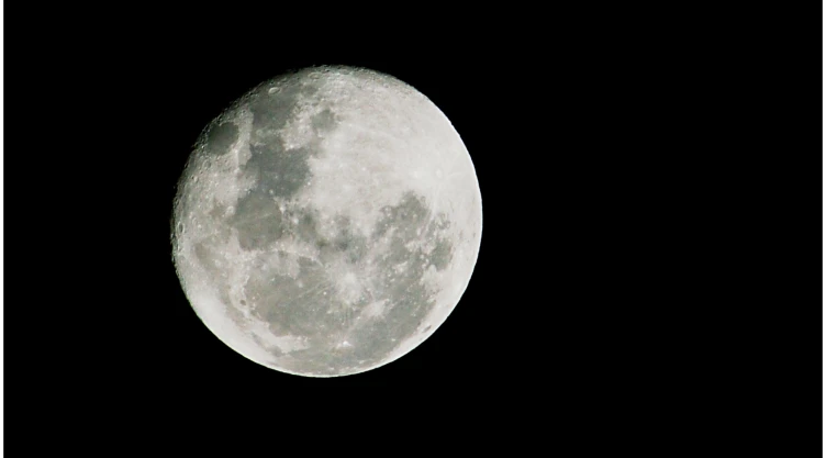 luna nueva horóscopo.png