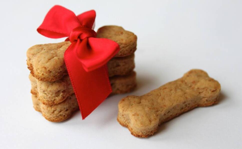 Cómo hacer galletas para perros