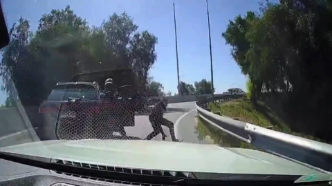 Conductor atropella a ladrón en Quilicura, Chile