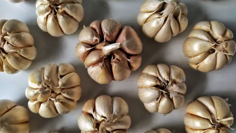 Las razones por las que deberías quemar cáscara de ajo en tu cocina