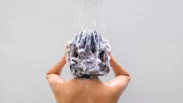 marcas_champu_profeco