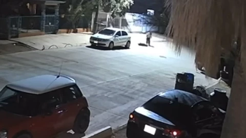 Maltrato animal en Chihuahua