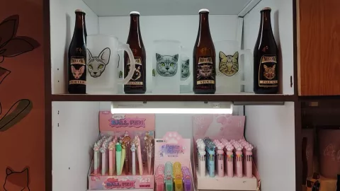 Cerveza en Catfecito