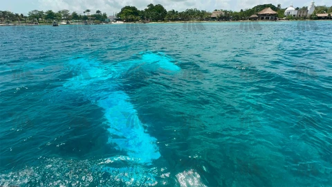 Así quedó la avioneta en Cozumel este sábado 13 de julio de 2024