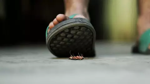 Provoca explosión por querer matar una cucaracha