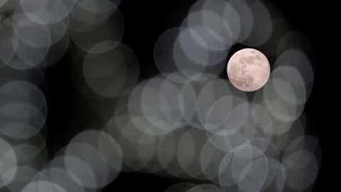 Te mostramos cómo se vio la última luna llena de diciembre, conocida como Luna Fría