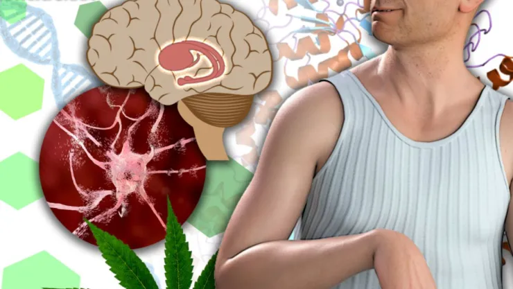 ¿Qué es la enfermedad de Huntington? Síntomas principales y causas