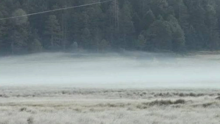 Reportan HELADAS en estos municipios de Puebla hoy viernes por el Frente frío 33