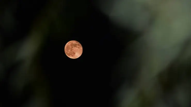 Luna del castor 2024