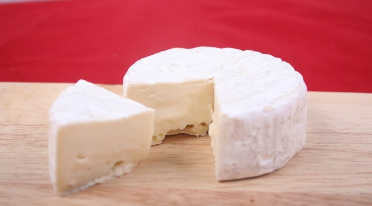 QUESO