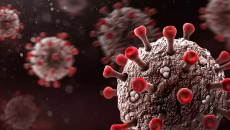 vih estado con más casos