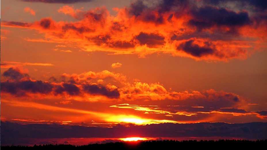 Diseño sin título.png