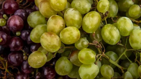 Precio de uva en Tijuana por Año Nuevo 2025 ¿En cuánto está y cómo sustituirla?