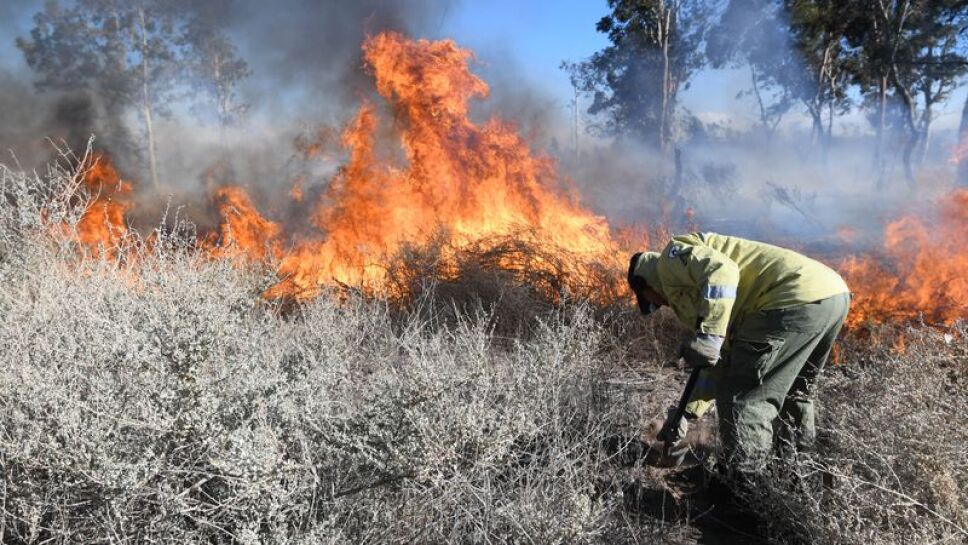 Incendios zombie, qué significa.jpg