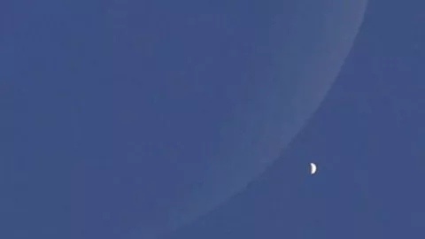 vida alienígena en Venus