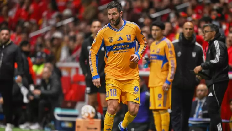 Gignac Tigres
