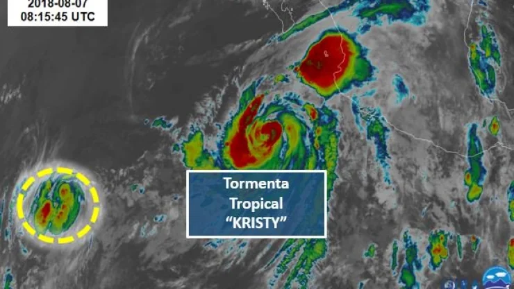 kristy