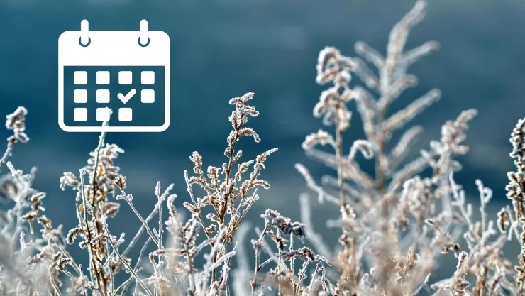 ¿Cuándo llegará la primera tormenta invernal 2024-2025 y cómo afectará al clima en Aguascalientes