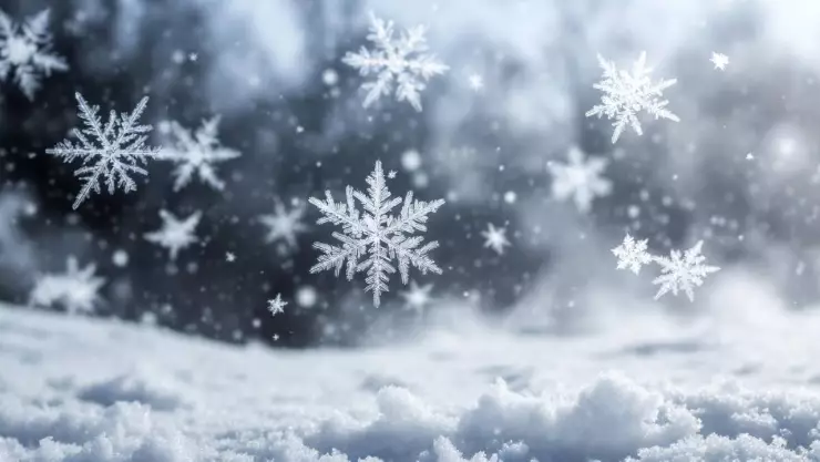 ¡ATENCIÓN! Prevén dos frentes fríos y la llegada de la tercera tormenta invernal ¿Cómo afectará a Veracruz?