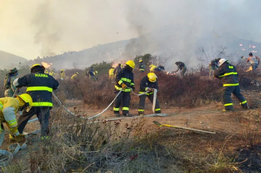 Al momento hay 1,645 personas evacuadas y 3 refugios activos. La mayor afectación se reporta en Ensenada (5,000 hectáreas) y Tecate (1,250 hectáreas).