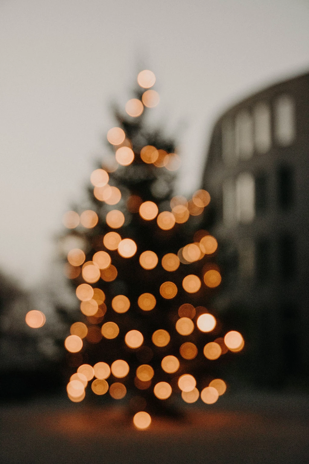 Festividades Navidad 2022