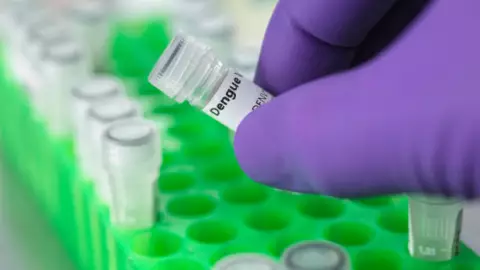 Registra Morelos primera muerte por dengue en 2023