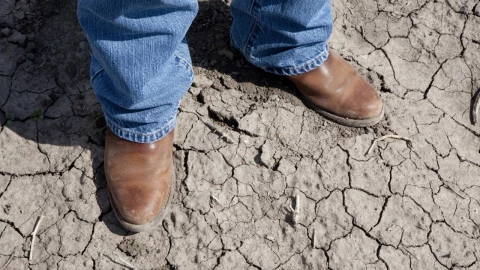 Hay sequía en el 82.9% del territorio nacional