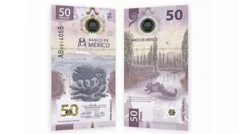 Venden billete del ajolotito de 50 pesos en 500 mil pesos