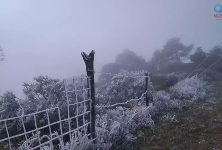 SEP suspende clases en Hidalgo por heladas