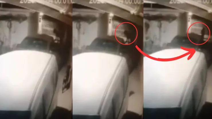 Captan a nahual en Coahuila convertirse de perro a mujer