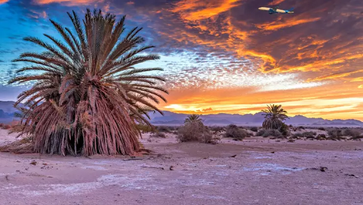 El polvo del desierto de Sahara