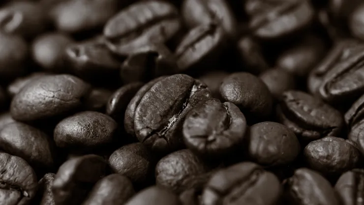 Beneficios del café para el cerebro: mejora la alerta y podría proteger la memoria
