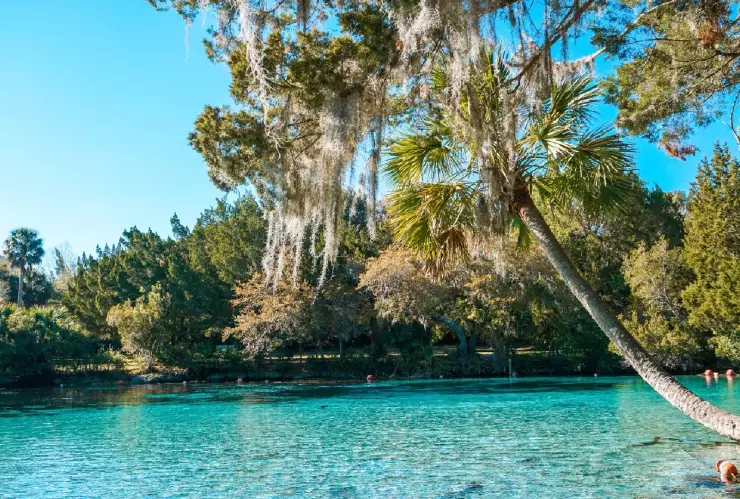 Esto es el manantial de Silver Glen Springs y queda ubicado en el Ocala National Forest