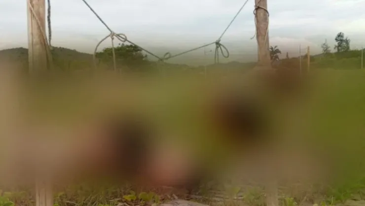 Localizan 5 cabezas humanas exhibidas en una playa de Ecuador