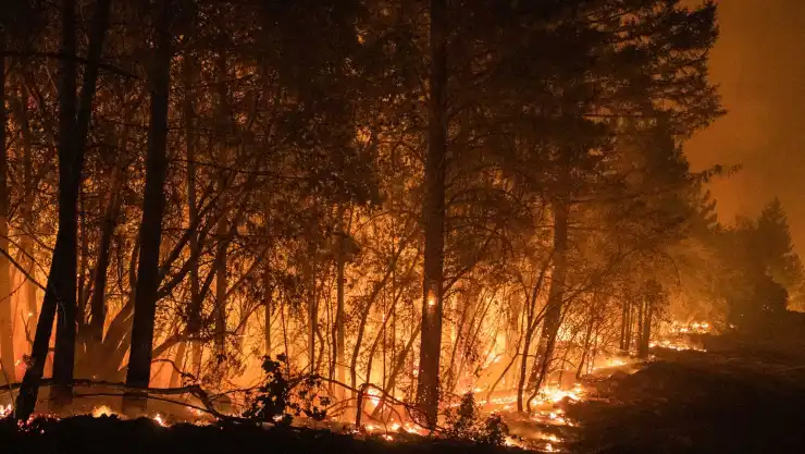 incendio forestal california i.jpg
