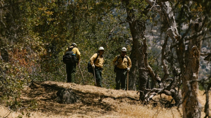 Incendios Los Angeles.jpg