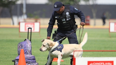 Unidad Canina de la Policía Federal cumple 30 años de servicio