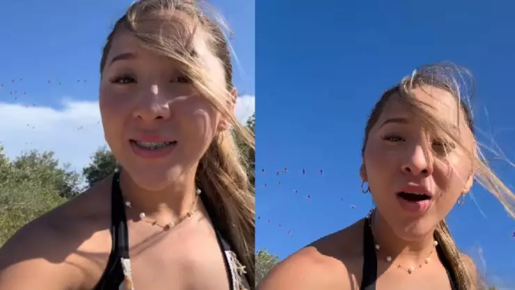 “Se despertaron por escuchar a Yeri Mua": ‘Elisa la yuca’ criticada por espantar flamingos en Yucatán