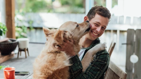 Motivos por los que los perro nos lamen