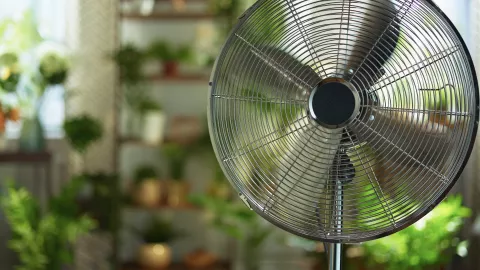 El precio de los mejores ventiladores de Pedestal, según la Profeco