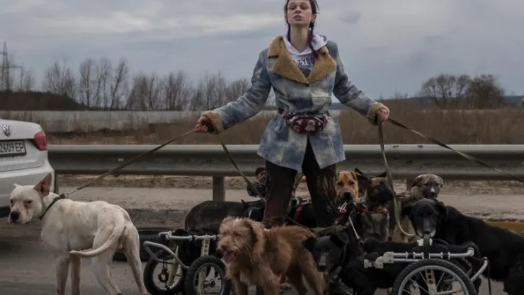 Mujer rescata perritos con discapacidades en ucrania