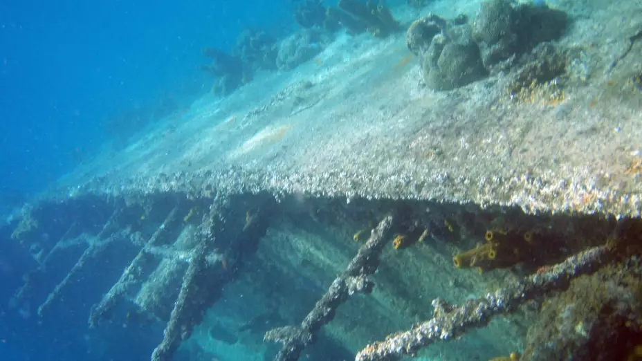 galeon san jose colombia rescate.jpg