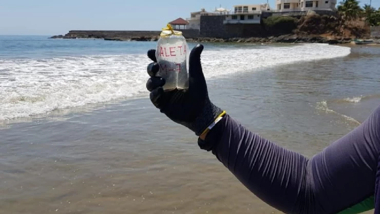 playas limpias Semana Santa 2022 Cofepris