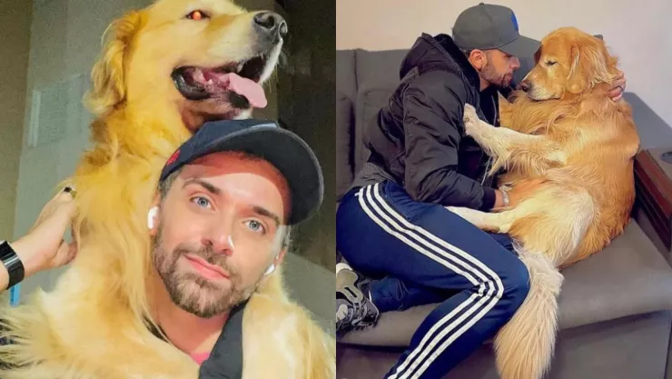 ¡Tragedia! Perrito muere tras el error de una aerolínea; lo llevaron a otro destino