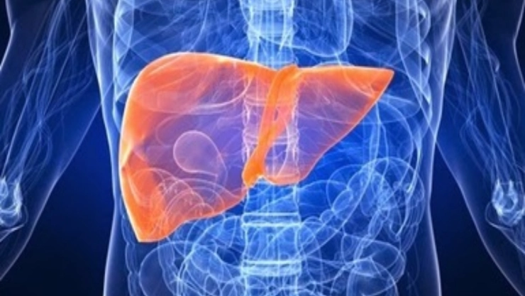 hepatitis cómo se contagia síntomas