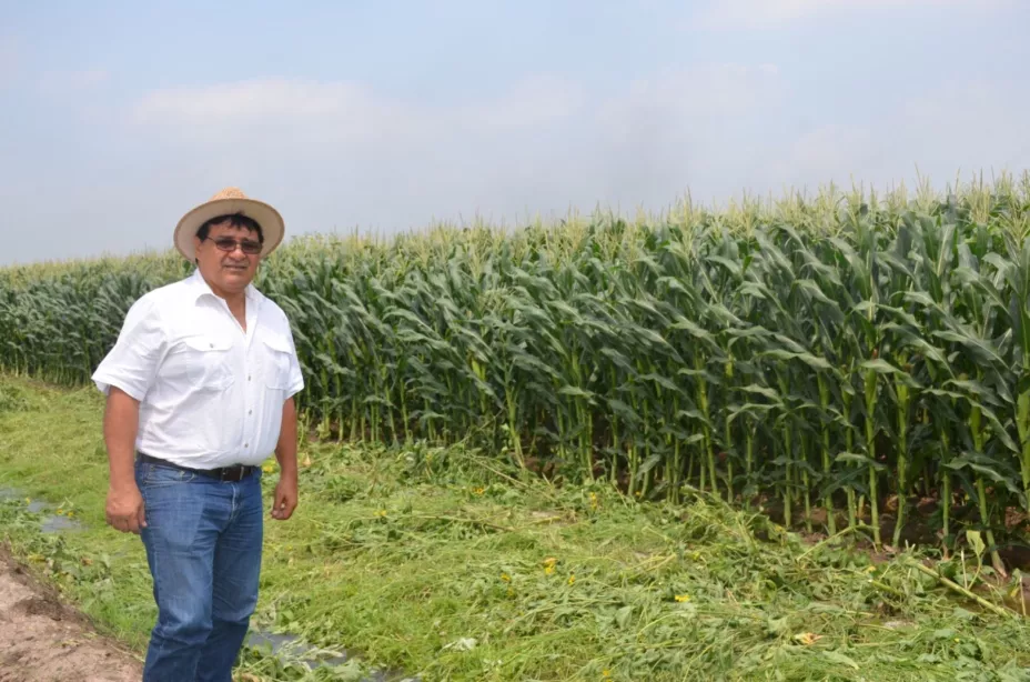 Ferrtilizantes IPN.jpeg