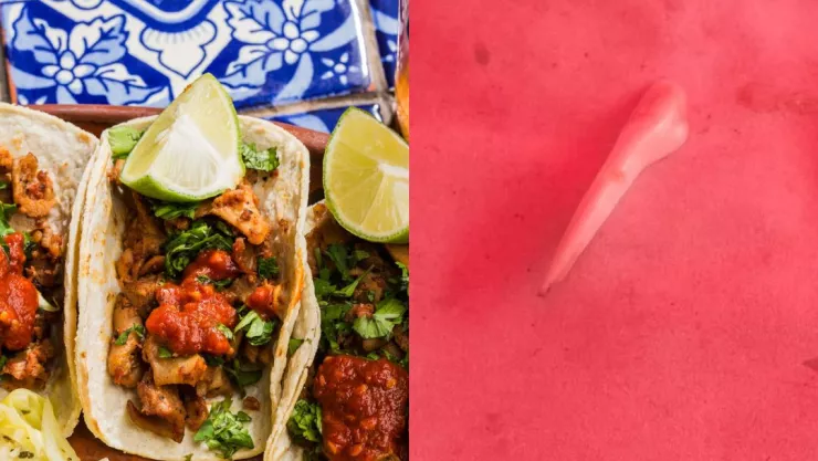 ¡De no creer! Encuentran colmillo de perro en unos tacos de barbacoa en México