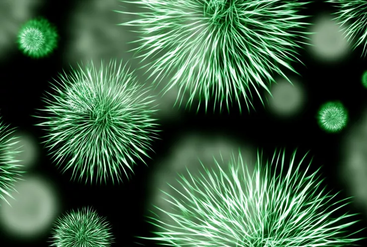 ¿Cómo prevenir el contagio de coxsackie ante brote en BC.jpg