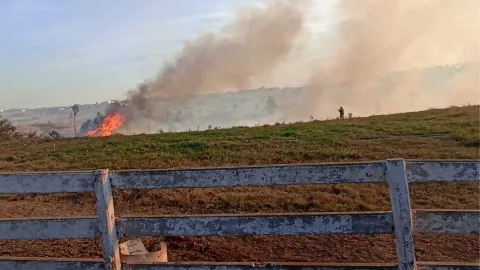 Reporte de Bomberos por vientos de Santa Ana en Tijuana hoy miércoles 6 de noviembre de 2024