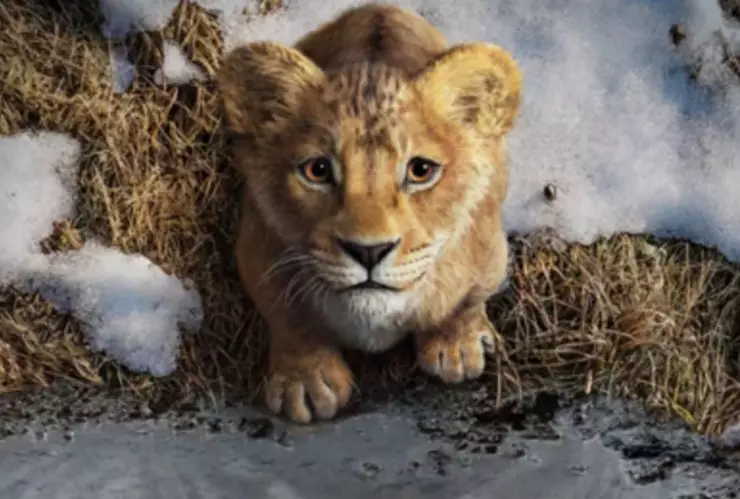 Este día de marzo “Mufasa: El Rey León” se estrena en Disney+